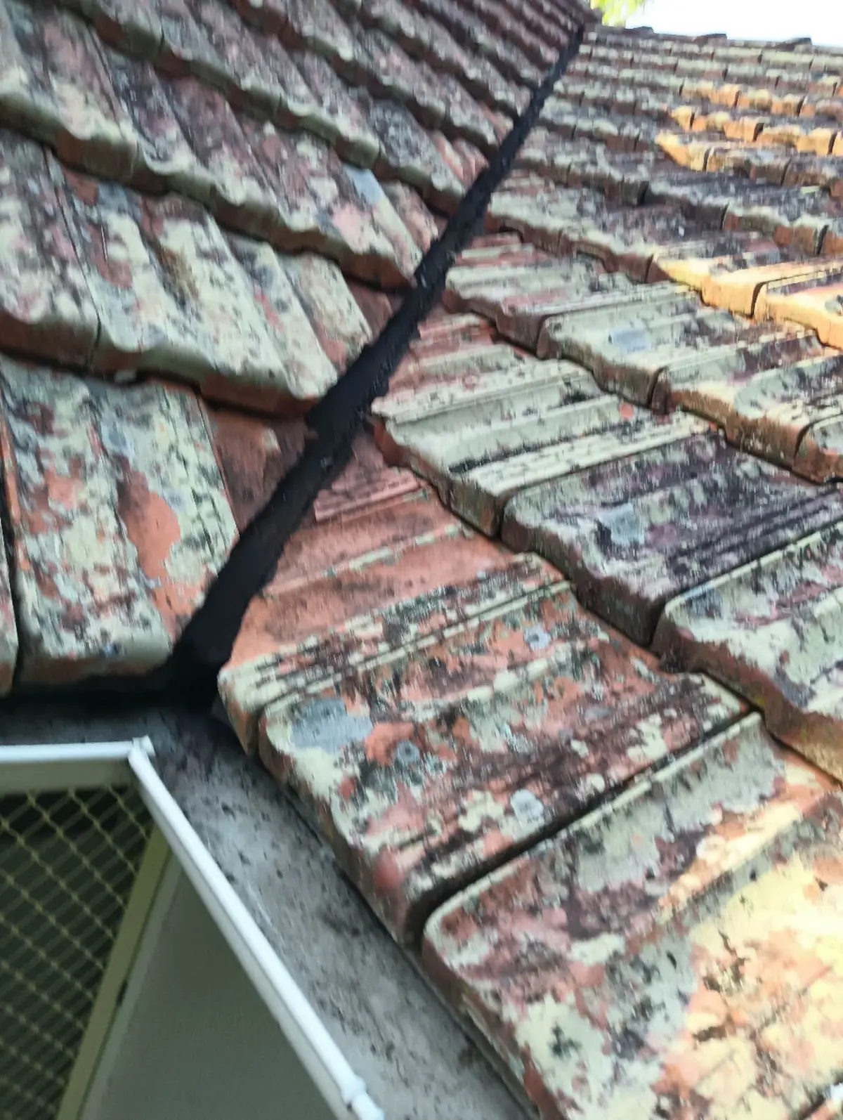 Tile roof valley condition documented during gutter maintenance